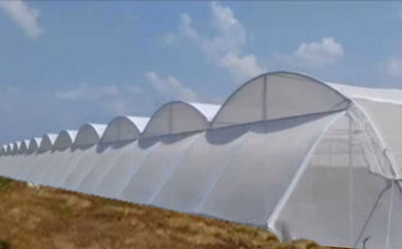 Anti-Insect Net